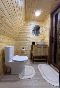 a bathroom with a toilet and a sink at Dino Twins Cottages in Kutaisi
