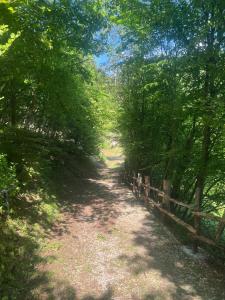 a dirt road with a fence and trees at Chalet Calcar in Avenone