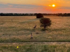 Gallery image of Uitzicht Lodge in Bothaville