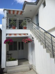 a white house with potted plants on the stairs at Apartments Mia Patria in Ulcinj