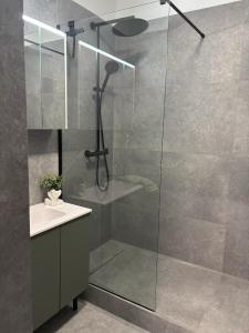 a bathroom with a glass shower with a sink at Taki apartman in Debrecen +29 photos