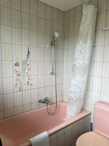 ムルテンにあるMurten Momentsのバスルーム(ピンクのバスタブ、シャワーカーテン付)