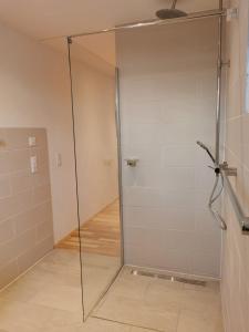 a shower with a glass door in a bathroom at Ranch du pont urgin in Planrupt