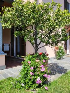 Aed väljaspool majutusasutust Casa Intignano - Camera con bagno e portico vista lago