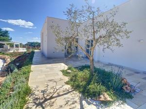 a small tree in front of a white building at Residenza del Duca in Martina Franca