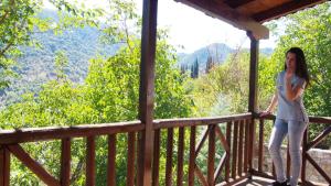 Příroda nedaleko vily + 84 fotografií