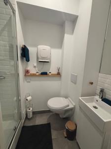 a small bathroom with a toilet and a sink at Le Saint André Hyper centre ville in Saint-Quentin +17 photos