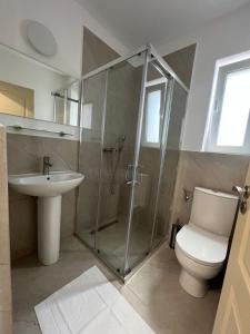 a bathroom with a shower and a toilet and a sink at Vila Marbo in Baile Felix