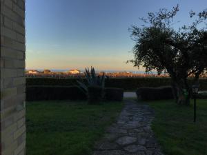 Príroda v okolí of the bed and breakfast