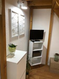 TV a/nebo společenská místnost v ubytování Studio mezzanine des Eaux Vives