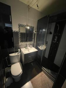 Un baño con inodoro, lavabo y ducha. en Joli T2 proche de la gare, en Clermont-Ferrand