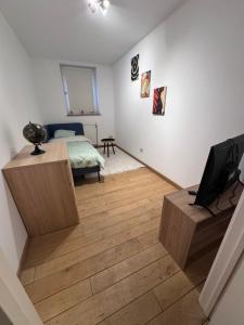 a bedroom with a bed and a television in it at Gent-cosy-stay in Ghent +14 photos