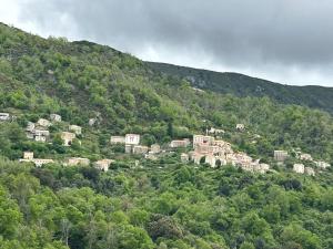 a group of houses on a hill with trees at Appartement convivial à Marignana, proche de la nature in Marignana