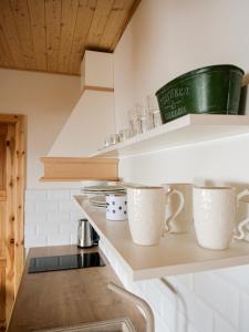 Kuchyň nebo kuchyňský kout v ubytování Roubenka Meandra - studio 32m2
