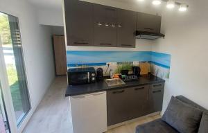 a small kitchen with a sink and a microwave at Herada Domek 3 in Jastarnia
