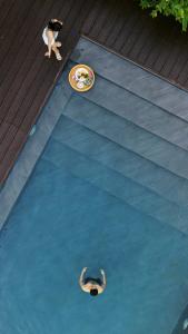 a person in a swimming pool with a frisbee at Anam Beach Resort in Calatagan +12 photos
