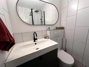 a bathroom with a sink and a toilet and a mirror at #LaMaisonVerte-calme en zone piétonne de Mulhouse in Mulhouse +19 photos