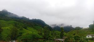 Paesaggio naturale nelle vicinanze dell'affittacamere