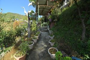 Gallery image of Shaantvan Homestay-Near Bhalughar Waterfall-Mukteshwar in Mukteswar