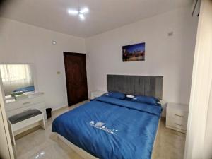 a bedroom with a blue bed and a sink at Khalda One Bedroom Apt in Amman