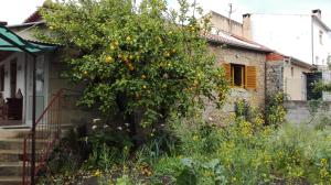 an orange tree in front of a house at Casa da Rosa in Póvoa de Rio de Moinhos