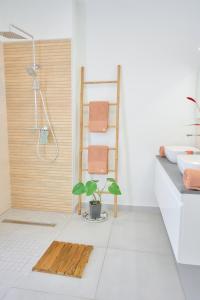 a bathroom with a shower and a potted plant at Villa Zarlor - 6 voyageurs in Petite Île