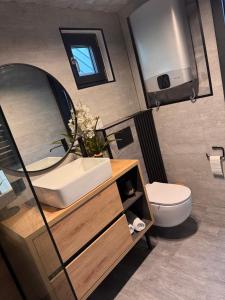 un bagno con lavandino, WC e specchio di Sielska Ostoja a Brenna Altre 39 foto