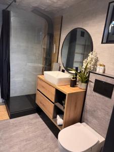 un bagno con lavandino, WC e specchio di Sielska Ostoja a Brenna