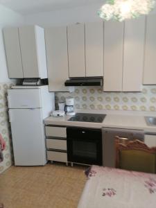 Kuchyňa alebo kuchynka v ubytovaní Apartment Gordana
