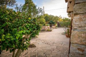 a stone walkway in a garden with a hedge at Villa Moli de Ca n'Orell in Santanyi +14 photos