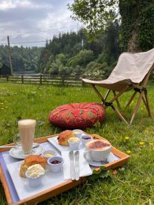 un vassoio di cibo su un tavolo nell'erba di Mullichain Glamping a Saint Mullins