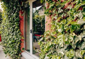 a building with a bunch of ivy growing on it at ibis Bucharest Politehnica in Bucharest