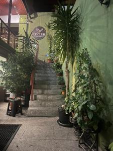 Φωτογραφία από το άλμπουμ του LeClub στο Τίργκου Μούρες