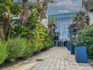 a walkway with plants in front of a building at Lagoon Shoreline Penthouse in Cape Town