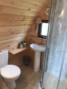 a bathroom with a white toilet and a sink at Otter Bay Pods, Glamping Pods nr Stornoway, Isle of Lewis in Knock