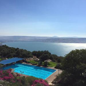 The swimming pool at or close to מצפה השלום