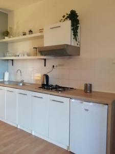 Kuchyň nebo kuchyňský kout v ubytování Apartmani Smiljana