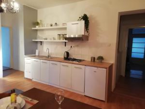 Kuchyň nebo kuchyňský kout v ubytování Apartmani Smiljana