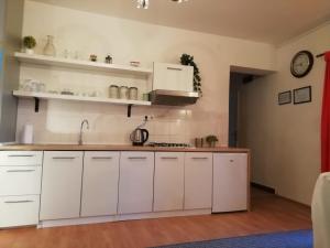 Kuchyň nebo kuchyňský kout v ubytování Apartmani Smiljana