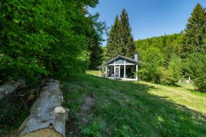a house in the middle of a field with trees at 4 Personen mit Sauna F2H3 in Ruhla +11 photos