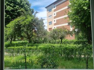 a view of a building from a window at 8 MAI Residence in Târgu Jiu