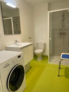 une salle de bains avec lave-linge et lavabo dans l'établissement Les gites du champ des oiseaux, à Saint-Amand-les-Eaux