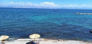 ベニテスにあるVista Sul Mare Apartmentのビーチ(水上の椅子とパラソル付)