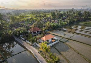 an aerial view of a house next to a river at Dijero at Umah Bali in Ubud