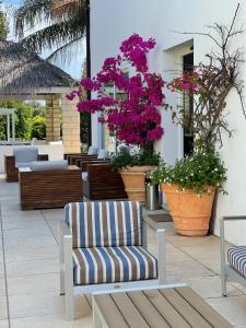 Zdjęcie z galerii obiektu Casa Solares w mieście Solfara Mare