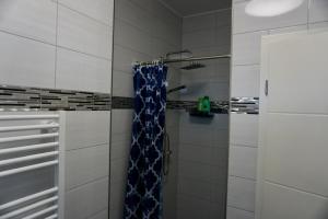 a bathroom with a shower with a blue shower curtain at Work und Relax Appartment in Horn-Bad Meinberg