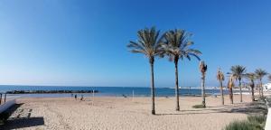 Φωτογραφία από το άλμπουμ του La valle dei carrubi σε Scicli