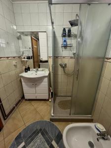 a bathroom with a shower and a sink at Home in Sarajevo in Doglodi +19 photos