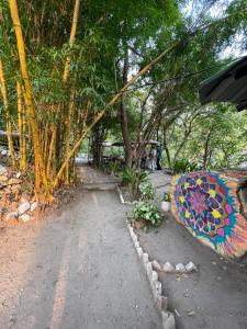 Κήπος έξω από το Tarang Yoga Ashram
