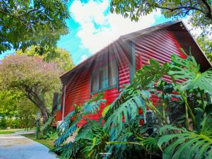 Afbeelding uit fotogalerij van The Wooden Rose Cabins in Beẕet